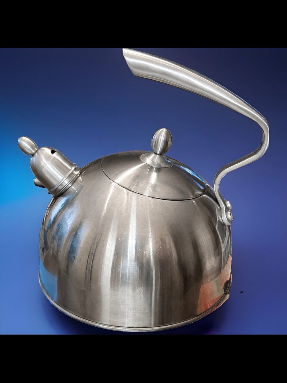 Stainless Steel Whistling Tea Kettle - Silver